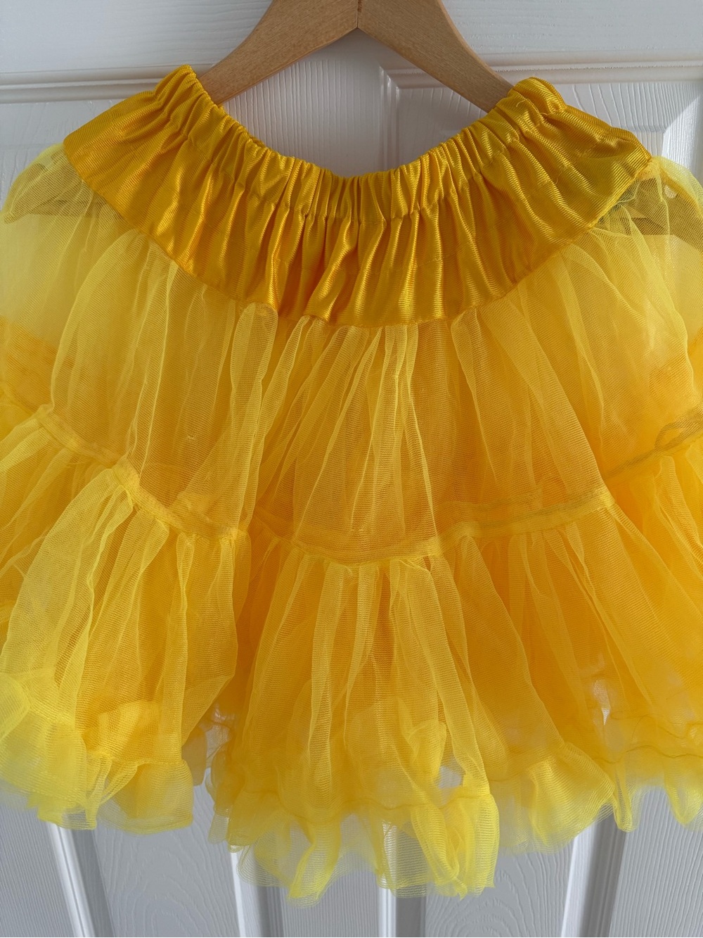 Tulle Skirt